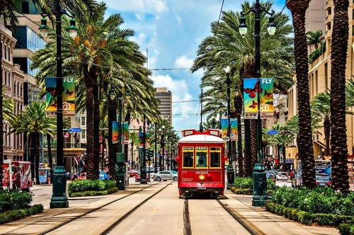 新奥尔良City House New Orleans Samesun的一条棕榈树城市街道上的红色电车