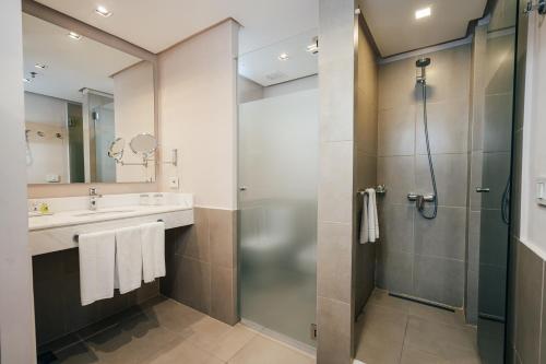 亚松森Palmaroga Hotel的带淋浴和盥洗盆的浴室
