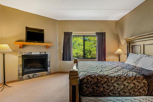 威斯康星戴尔Chula Vista Condo #2433的一间卧室配有一张床、一个壁炉和一台电视。