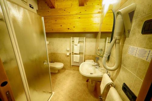 利维尼奥Garni Baita Cecilia的一间带水槽和卫生间的小浴室