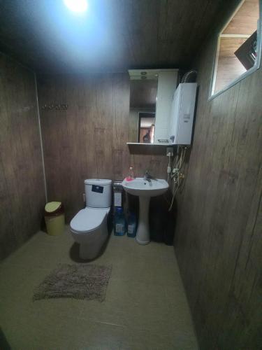 卡兹贝吉Timeout的一间带卫生间和水槽的小浴室