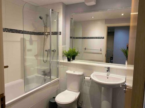 阿伯丁Spacious Ground Floor 2 Bed by Lains Lettings的浴室配有卫生间、盥洗盆和淋浴。