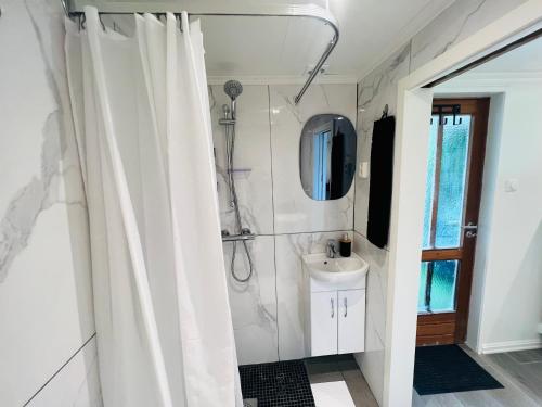 阿伦达尔Fint gjesterom med bad og kjøkken til leie nær EB stranda med的浴室配有淋浴帘和盥洗盆。