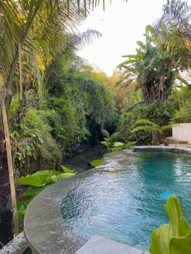 乌布Wahem Eco Bamboo的河中树木繁茂的游泳池