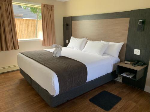 萨默赛德Cairns Motel的一间卧室配有一张大床,上面有泰迪熊