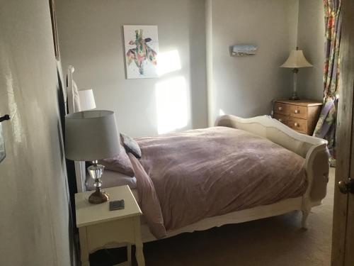 雷克瑟姆Plas Bostock Farm的一间卧室配有一张床和一张带台灯的桌子