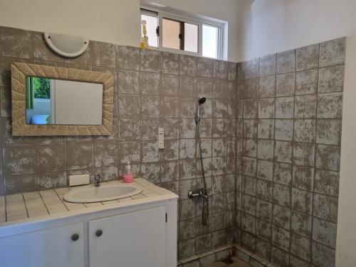 VaianaePension ANAPA LODGE - MOOREA的浴室配有盥洗盆和带镜子的淋浴