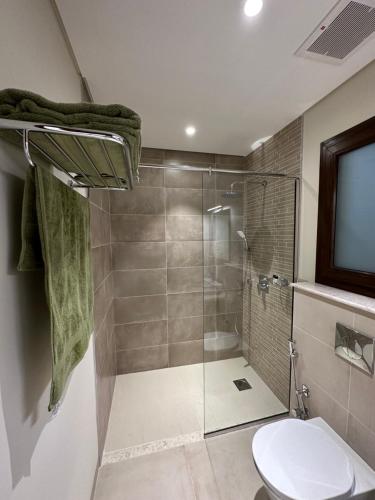 希法Casa de Amor Sifa的带淋浴和卫生间的浴室以及电视。