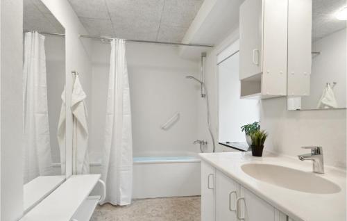 布罗斯特Cozy Home In Brovst With Kitchen的白色的浴室设有水槽和浴缸。