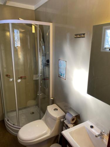 圣卡洛斯-德巴里洛切Free Mountain的带淋浴、卫生间和盥洗盆的浴室