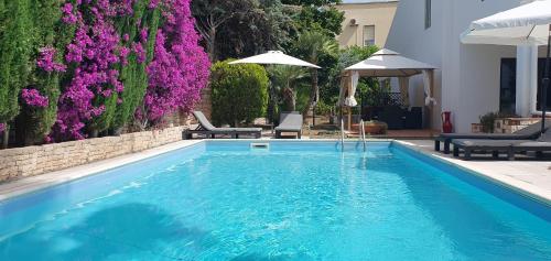 巴里阿普利亚时光住宿加早餐旅馆的一座拥有蓝色水和紫色花卉的游泳池