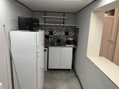 朗热Langeais - Gîte des Culeveaux的小厨房配有冰箱和微波炉。