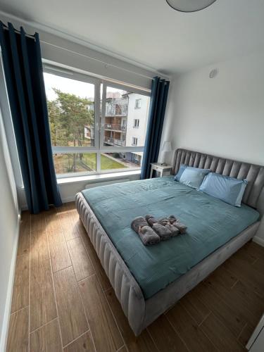罗威Apartament za wydmami的一间卧室设有一张床和一个大窗户