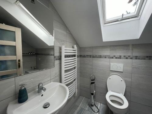 布拉迪斯拉发Apartmán z wellnes的一间带水槽和卫生间的浴室以及窗户。