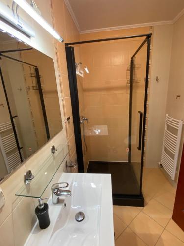 奥什恰德尼察HM膳食旅馆的一间带水槽和淋浴的浴室