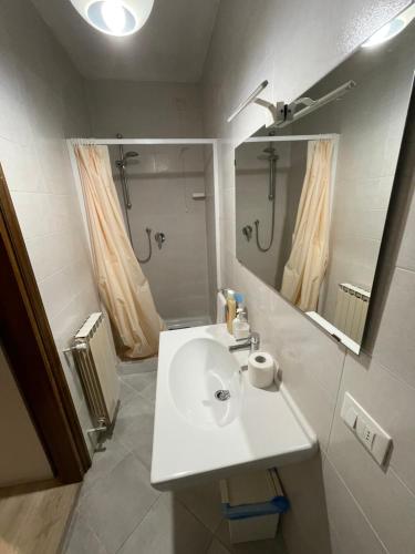 威尼斯Romantic enchantment with private bathroom的白色的浴室设有水槽和淋浴。