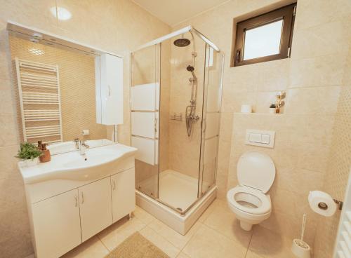 拉科维察Jankovi Dvori的带淋浴、卫生间和盥洗盆的浴室