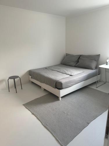 NiederalmCasa Móre GRAY的一间白色卧室,配有床和地毯