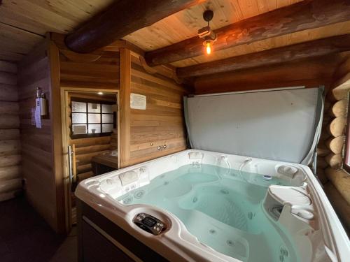 瓦特拉多尔内Casa de Munte的小木屋内的按摩浴缸