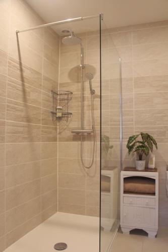 沙布利Riverside Lodge的浴室里设有玻璃门淋浴