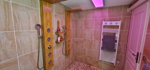 沙托鲁Chez Stephanie的带淋浴的浴室和粉红色门