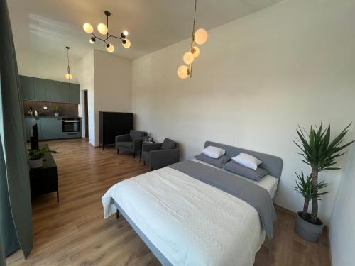 皮耶什佳尼Apartment YELLOW ROSE, Perfect Location with Free Parking, 24h Checkin & Balcony的一间卧室设有一张床和一间客厅。