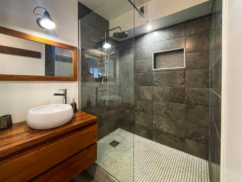 圣吉尔莱班Appartement T2 de vacances St Gilles les Bains   的带淋浴、水槽和玻璃淋浴间的浴室
