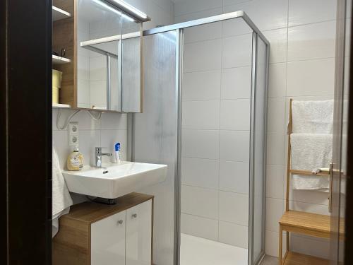 林茨Studio Apartment near Linz Main Train Station的一间带水槽和淋浴的浴室