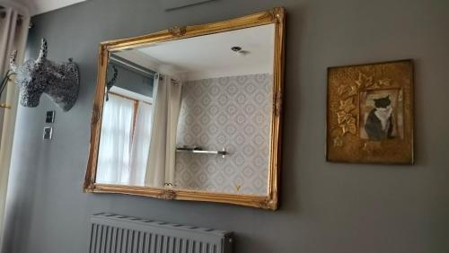 爱丁堡Daiches Braes Brunstane Portobello的墙上的镜子,上面有一只猫的照片