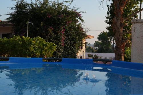 莱波拉诺Villa Ada的绿树和灌木的蓝色游泳池