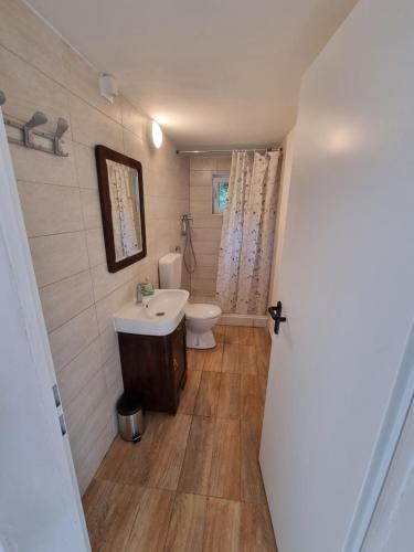 托尔明GLAMPING HOUSE ˇVITAˇ的浴室配有白色水槽和卫生间。