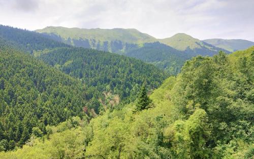 ELATALIA Plastira Lake的享有森林的空中景观,背景是山脉