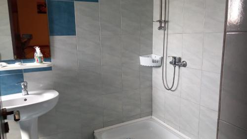 图尔恰CASA ADELA的带淋浴、卫生间和盥洗盆的浴室
