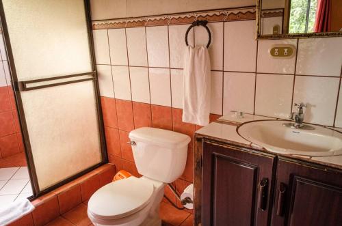 阿拉胡埃拉Hotel Chalets Los Volcanes的一间带卫生间和水槽的浴室