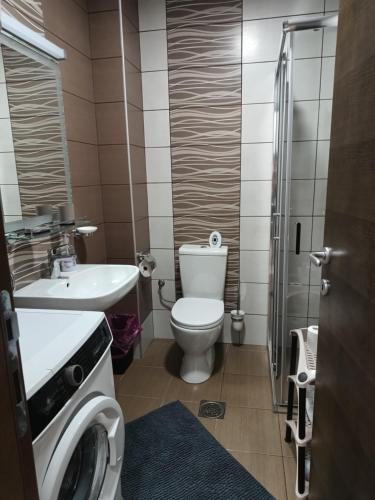 雅戈丁那Apartman ELENA的浴室配有卫生间水槽和洗衣机。