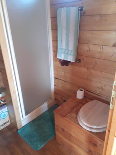 Roulotte de campagne的一间带卫生间和毛巾的小浴室
