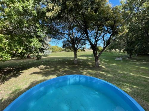 Real de San CarlosCozy Country House in Colonia - Uruguay的一个带树木的庭院中的蓝色浴缸