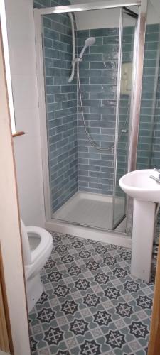 FarrellstownSea view room..的带淋浴、卫生间和盥洗盆的浴室