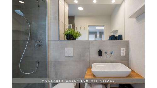 诺特海姆Apartment Leinetal, mit Kamin, Seenähe, Harz Nähe的一间带水槽和淋浴的浴室