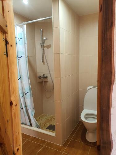 OsbySvensson's Log Cabins的一间带卫生间和淋浴的浴室