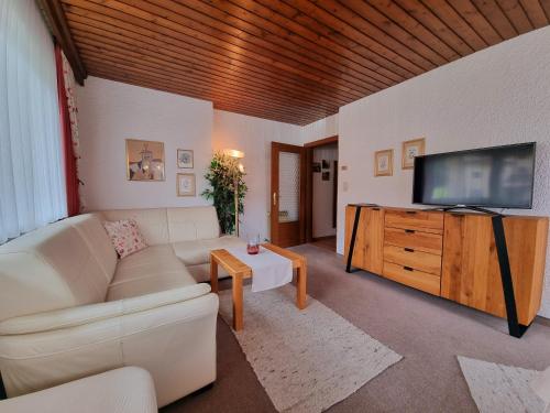 佩尔蒂绍Appartements Alpenland Pertisau的带沙发和平面电视的客厅