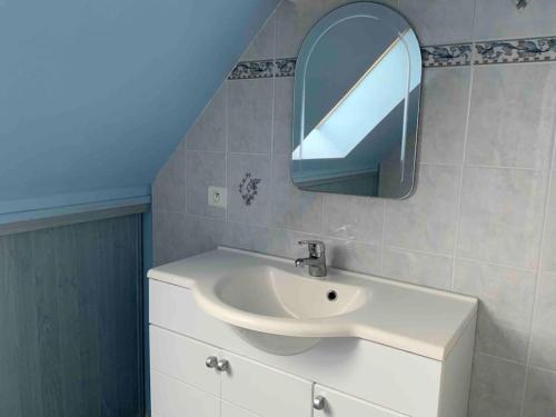 普洛戈Appartement - Plogoff Pointe du Raz的浴室设有水槽和墙上的镜子