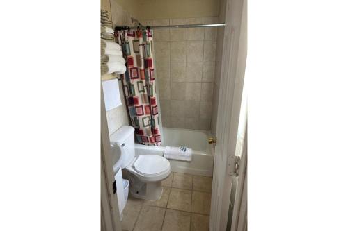 默多Love Hotels Murdo on Interstate 90的一间带卫生间和淋浴帘的浴室
