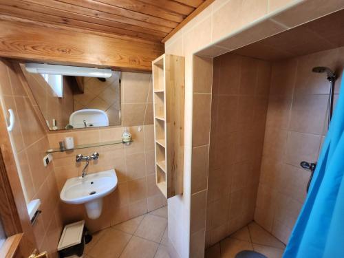OsiekJak Tu Sielsko的客房内设有带水槽和卫生间的浴室