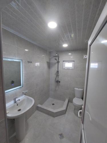 西格纳吉Apartment in Sighnaghi的白色的浴室设有水槽和卫生间。