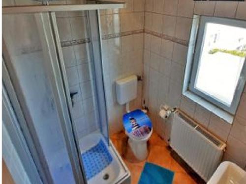 岑平Haus Rosel的带淋浴和卫生间的浴室以及窗户。