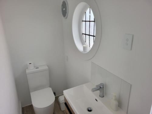 奥克兰1920s Classic Cozy 2-Bedroom Villa Apartment in Parnell的白色的浴室设有水槽和镜子