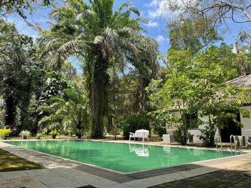 尼甘布Diklande Estate Bungalow的一座棕榈树和房子的游泳池