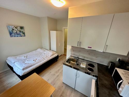 翁达尔斯内斯Åndalsnes Sentrum 1-room Apartment No3的小房间设有床和厨房