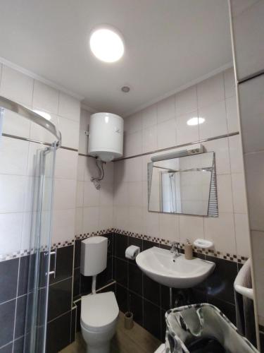 西利皮Konavle Village Apartment的一间带卫生间和水槽的浴室